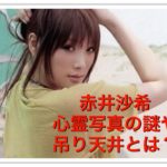 赤井沙希の心霊写真や吊り天井をやられた動画は見えてる【画像】